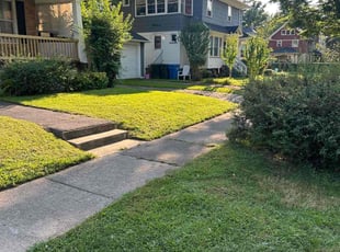 Steven M.'s turf care service result