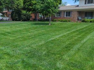 Richard J.'s lawn care services service result