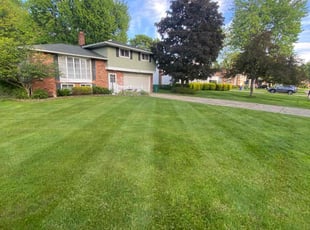 Abood A.'s turf maintenance service result