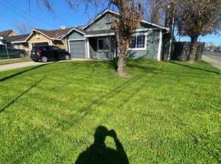 Macy S.'s lawn care services service result
