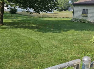 Christina O.'s turf maintenance service result