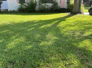 Bob V.'s lawn care services service result