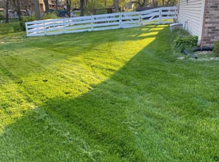 Holley R.'s turf care service result