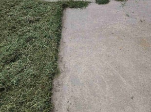 Cheryl G.'s lawn care service result