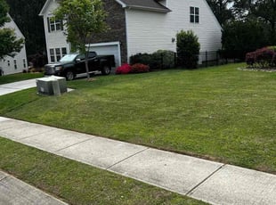 Jerry G.'s turf maintenance service result