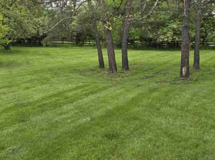 Angela B.'s lawn service service result