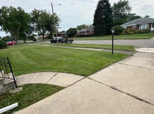 Paul N.'s turf care service result