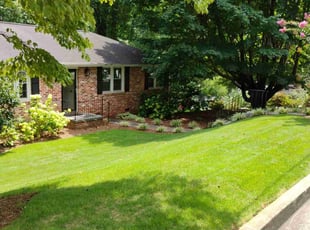 Sarah S.'s lawn care services service result