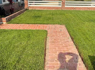 Jeanne R.'s yard work service result