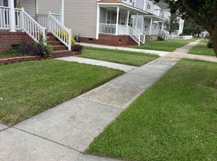 Tyrone J.'s grass maintenance service result