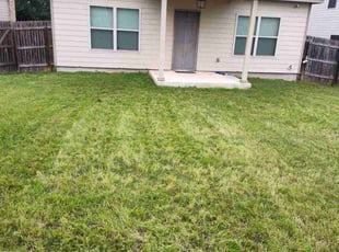 David L.'s lawn care service result