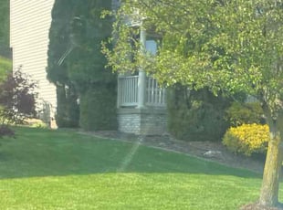 Heather M.'s grass maintenance service result