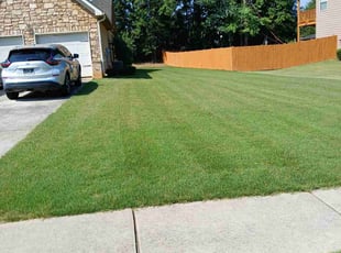 Kylie D.'s turf maintenance service result