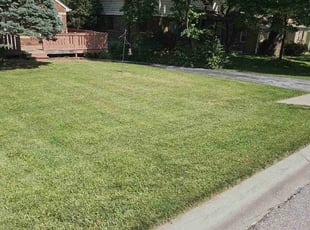 Jackie H.'s lawn care service result