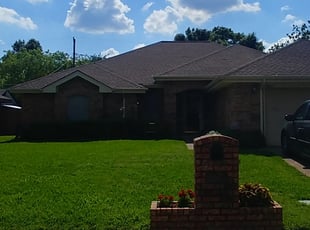 Charlene M.'s Bush Trimming service result