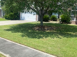 Betty W.'s turf maintenance service result