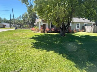 James E.'s lawn care service result
