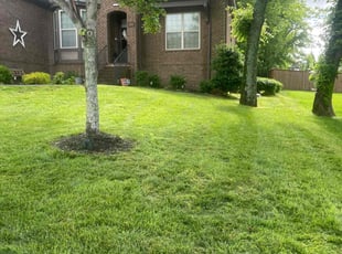Suzanne H.'s turf care service result