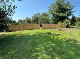 Sasha B.'s turf maintenance service result