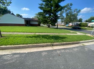 Sara H.'s lawn care service result