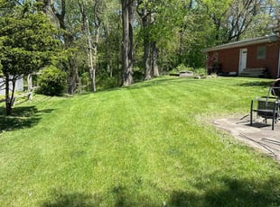 Lori B.'s turf maintenance service result