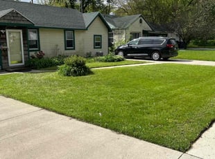 Lori L.'s lawn care service result