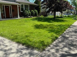 Gene N.'s lawn service service result