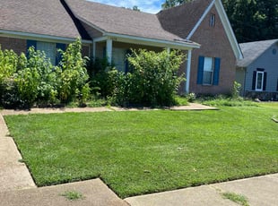 Nancy J.'s lawn care services service result