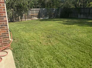 Alexandra A.'s grass maintenance service result
