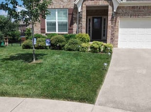 Renee V.'s landscape maintenance service result