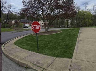 Tracy R.'s lawn service service result