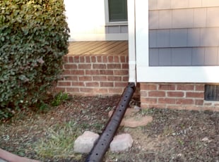 Chris N.'s Bush Trimming service result