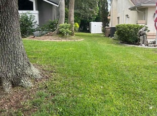 Carleen T.'s grass cutting service result