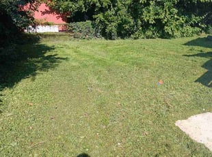Deb S.'s lawn service service result
