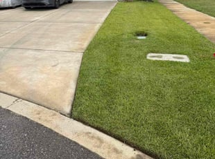 Tamico J.'s grass maintenance service result