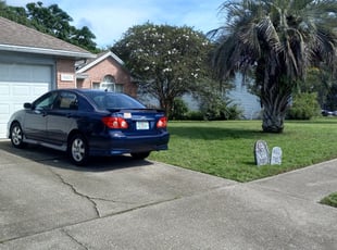 Nick W.'s Bush Trimming service result