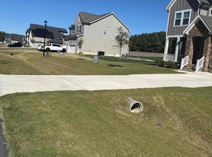 Billie H.'s Other service result