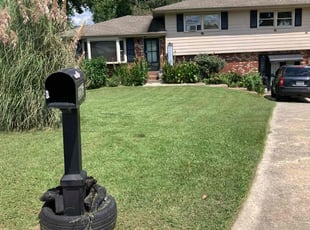 Pat B.'s turf care service result