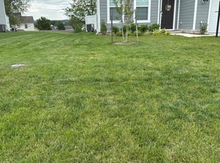Josh T.'s lawn service service result