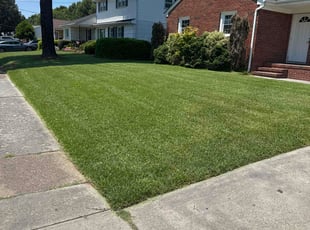 Cosette B.'s lawn maintenance service result