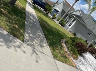Luz S.'s turf maintenance service result