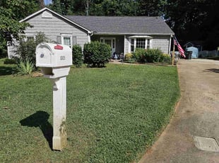 Lisa M.'s turf care service result