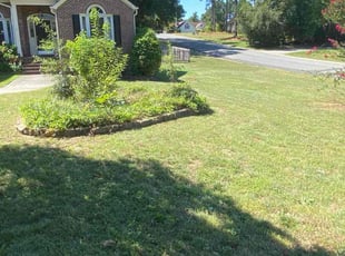 Patricia B.'s turf care service result