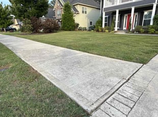 Layla S.'s lawn service service result