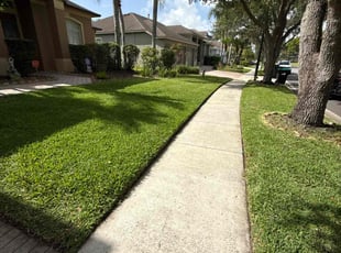 Terri W.'s grass cutting service result