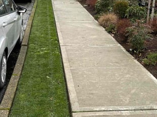 Meghan W.'s lawn maintenance service result