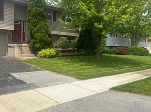 Sheena W.'s lawn care service result