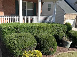 Jonathan R.'s turf maintenance service result