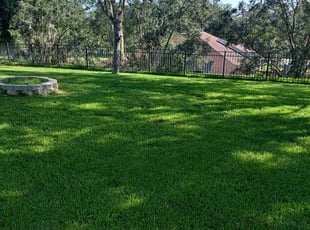 Beth D.'s turf maintenance service result