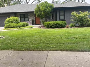 Evan O.'s grass cutting service result